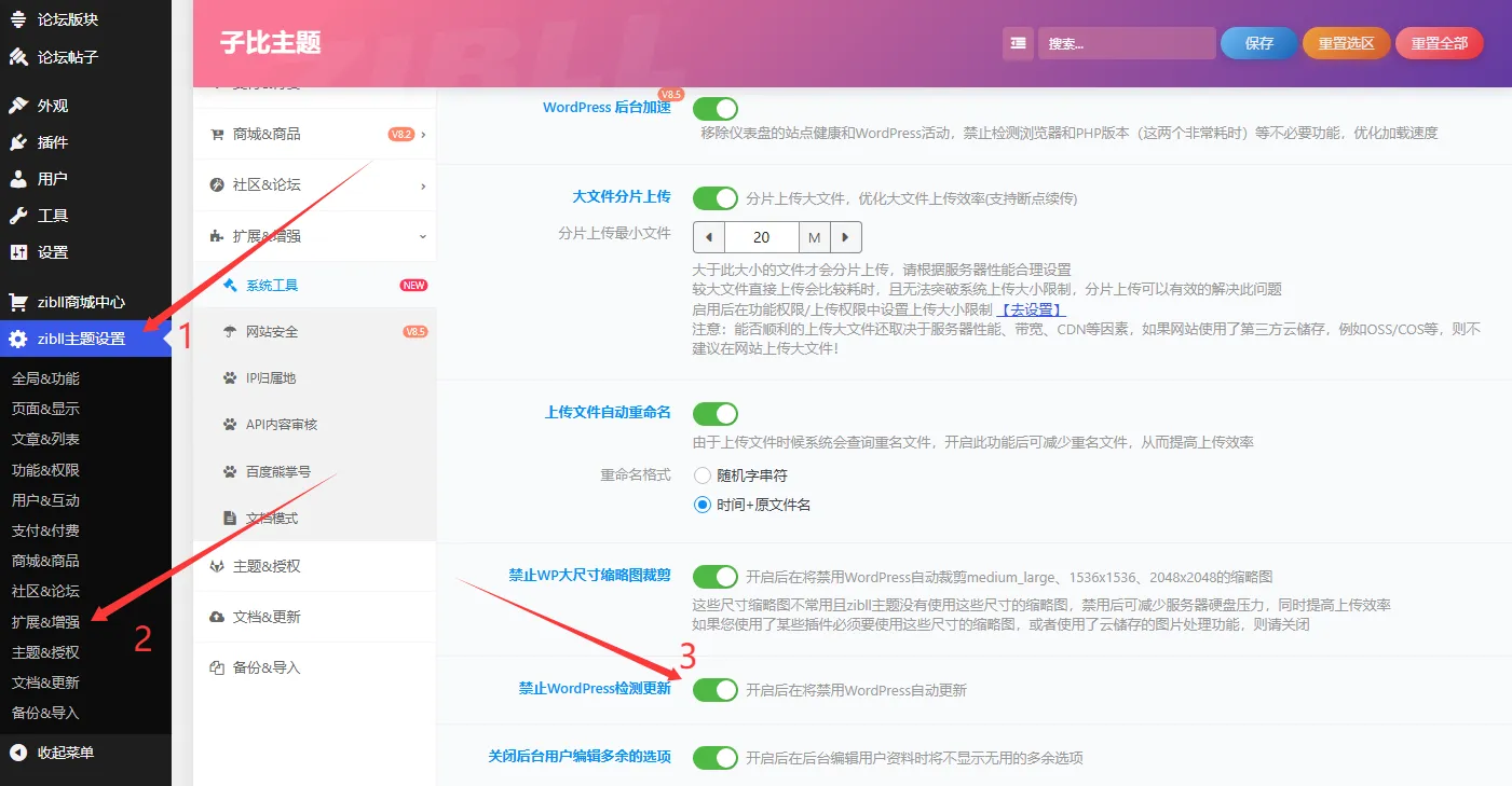 子比主题禁止WordPress检测更新设置截图