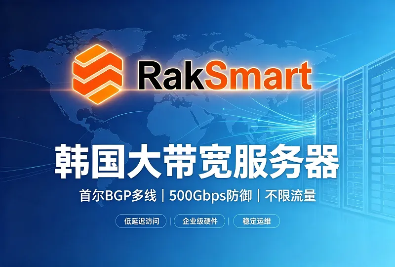 RAKsmart 韩国大带宽服务器评测 线路延迟硬件防御全方位解析-服务器测评_云 VPS 推荐_运维技术教程与源码分享 - 环球云域数据平台 cloudidc.vip
