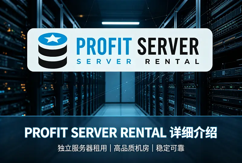 PROFIT SERVER RENTAL VPS｜运营 11 年全球 8 机房 KVM 不限流量-服务器测评_云 VPS 推荐_运维技术教程与源码分享 - 环球云域数据平台 cloudidc.vip