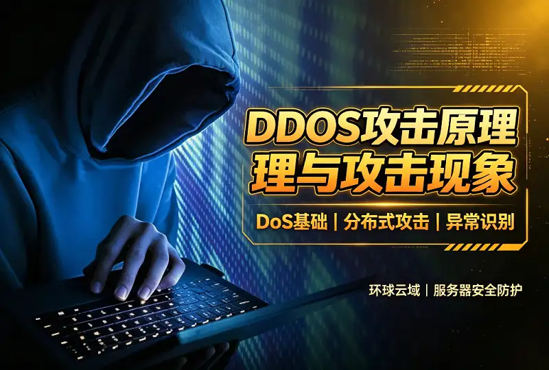 什么是 DDoS 攻击？DoS 原理与被攻击现象详解-服务器测评_云 VPS 推荐_运维技术教程与源码分享 - 环球云域数据平台 cloudidc.vip
