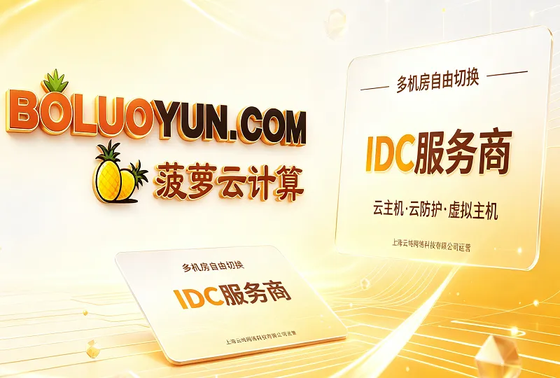 菠萝云 boluoyun 测评｜支持多机房自由切换的 IDC 服务商-服务器测评_云 VPS 推荐_运维技术教程与源码分享 - 环球云域数据平台 cloudidc.vip